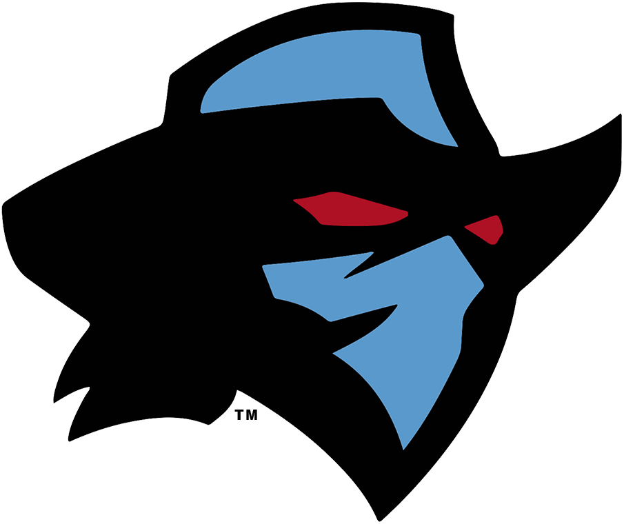 Dallas Renegades 2020 Primary Logo DTF transfer for t shirt
